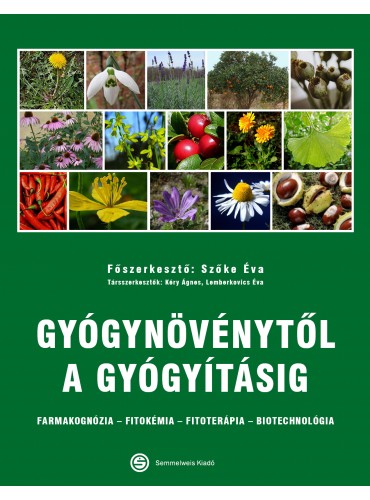 kezdeti szakaszában a cukorbetegség 2 típusú kezelést diétás szakácskönyv pdf